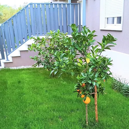 Lejlighed With Parking Space - 24316 *