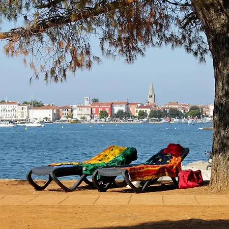 Appartement With Parking Space - 24316